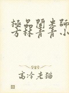 极品开光师李南方林青青小说叫