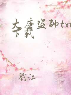 大唐盗帅txt下载