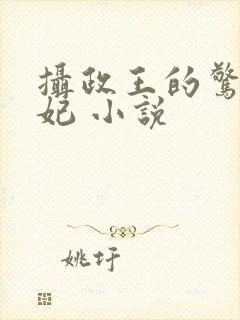 摄政王的惊世嫡妃 小说