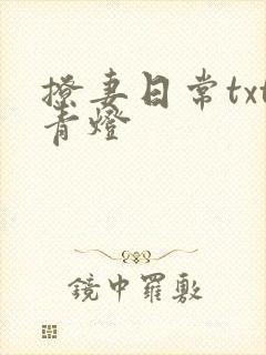 撩妻日常txt青灯