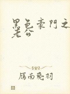 黑色豪门之王子老公