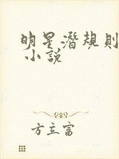 明星潜规则之皇 小说