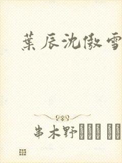 叶辰沈傲雪宁馨