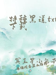 特种黑道txt下载