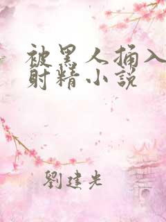 被黑人捅入子宫射精小说