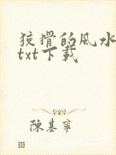 狡猾的风水相师txt下载