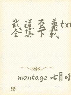 武道至尊txt全集下载