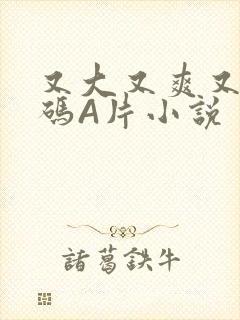 又大又爽又黄无码A片小说