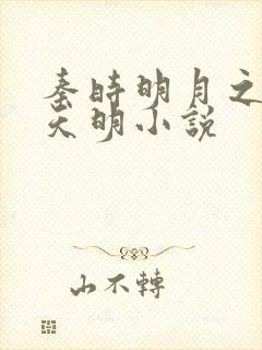 秦时明月之夜尽天明小说