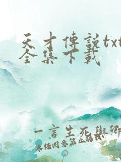 天才传说txt全集下载