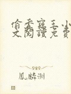 偷香窃玉小说全文阅读免费