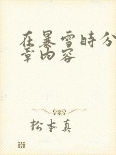 在暴雪时分54章内容