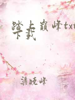 踏上巅峰txt下载