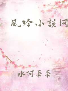 风吟小说网