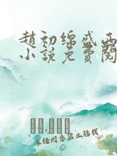 赵初绵盛西舫的小说免费阅读