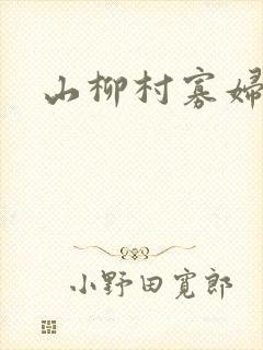山柳村寡妇情史