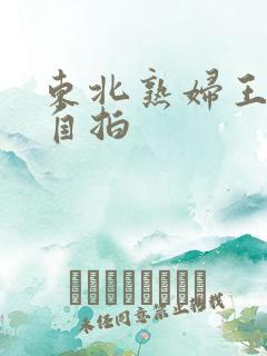 东北熟妇王梅娟自拍