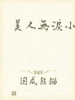 美人无泪小说
