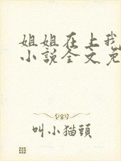 姐姐在上我在下小说全文免费阅读