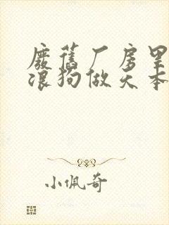 废旧厂房里和流浪狗做天本