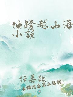 他跨越山海而来小说