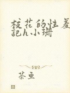 校花的性羞辱日记h小珊