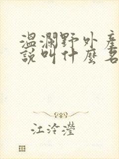 温澜野外产子小说叫什么名字