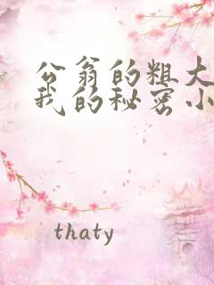 公翁的粗大放进我的秘密小说