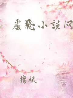 卢飞小说网