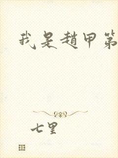 我是赵甲第小说