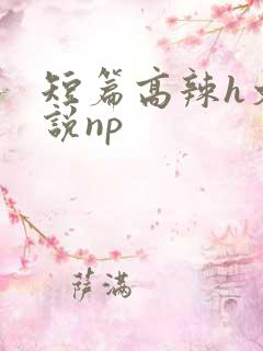 短篇高辣h文小说np