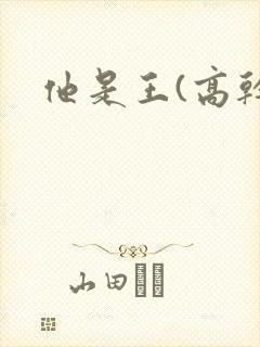 他是王(高干)