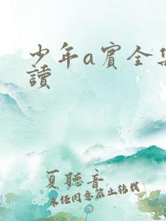 少年a宾全集阅读