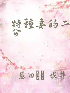 特种妻的二手老公