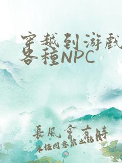 穿越到游戏里和各种NPC