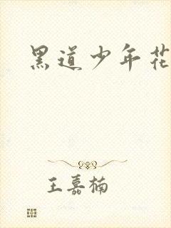黑道少年花丛游