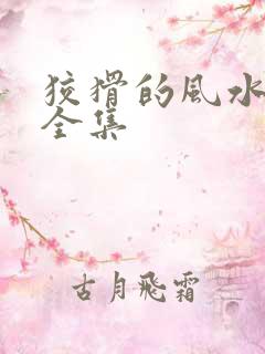 狡猾的风水相师全集