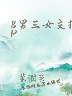 8男三女交换4P