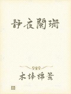 静夜阑珊