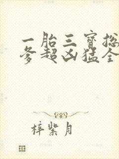 一胎三宝总裁爹爹超凶猛全文免费阅读