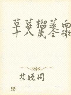 草莓榴莲向日葵十八岁全微糖