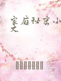 家庭秘密小说全文