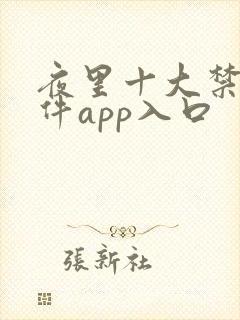 夜里十大禁用软件app入口