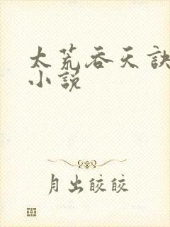 太荒吞天诀免费小说