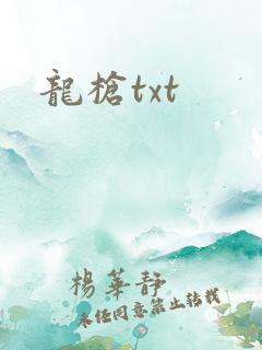 龙枪txt