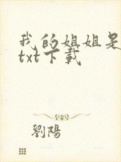 我的姐姐是美女txt下载