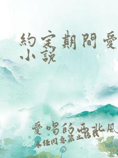 约定期间爱上你小说