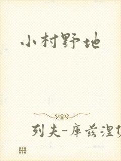 小村野地