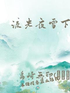 流光夜雪下载