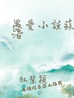 愚爱小说苏倩孙浩